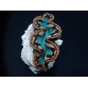 Tridacna maxima (Yellow/Gold) 3cm 