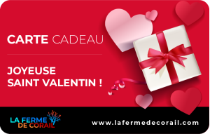 
			                        			Joyeuse Saint Valentin !