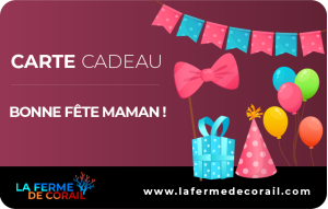 
			                        			Bonne fête maman !