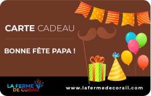 
			                        			Bonne fête papa !